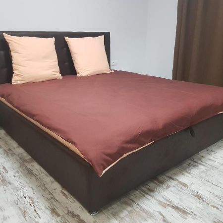 Silver Star Apartment 40M Uzhhorod Ngoại thất bức ảnh