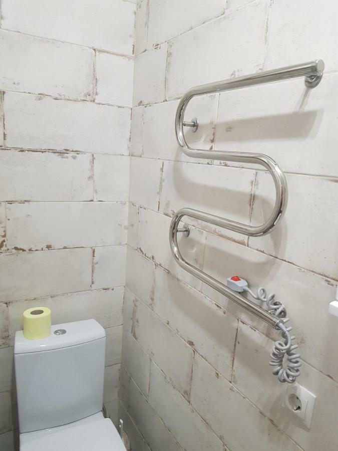 Silver Star Apartment 40M Uzhhorod Ngoại thất bức ảnh