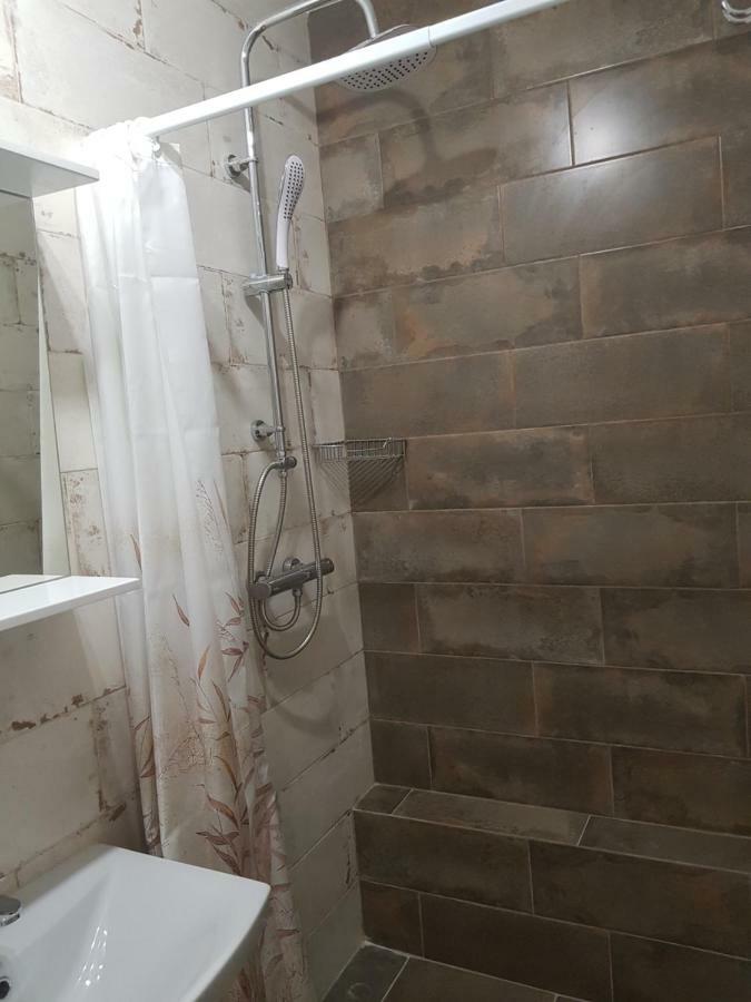 Silver Star Apartment 40M Uzhhorod Ngoại thất bức ảnh